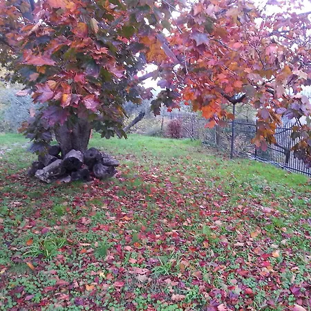 Nocleg ze śniadaniem Gli Aceri Arcola