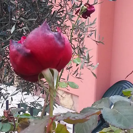 לינה וארוחת בוקר Gli Aceri 3*