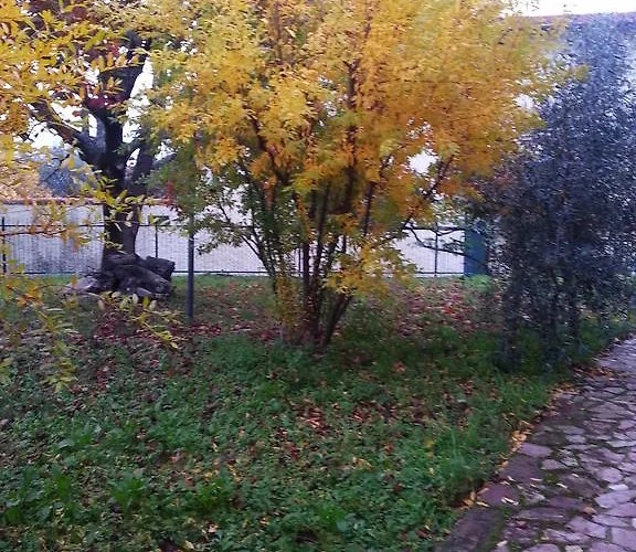 Bed & Breakfast Gli Aceri