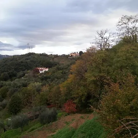 Gli Aceri