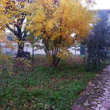 Couette-café Gli Aceri